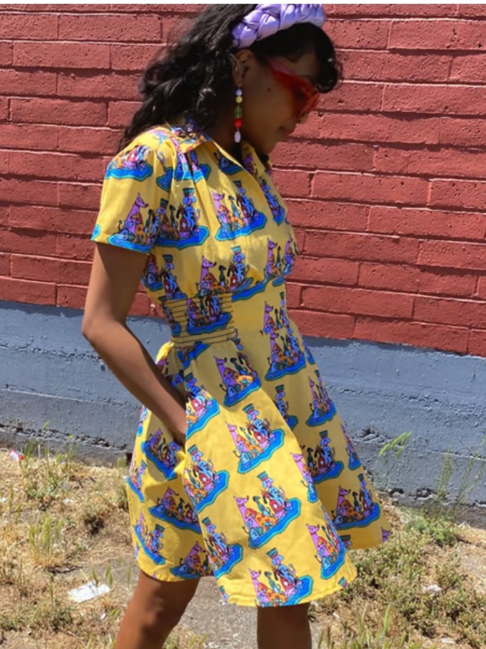 NWOT Nooworks Leah Dress in Dog Party Print (Size Large)